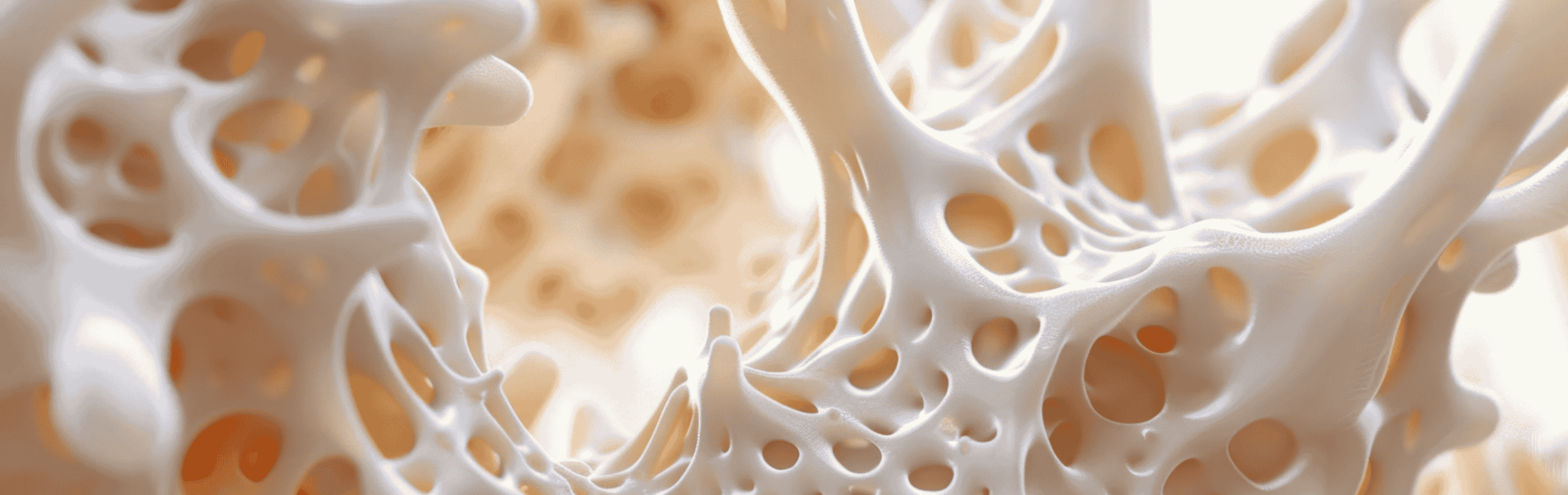 Nahaufnahme Knochenstruktur