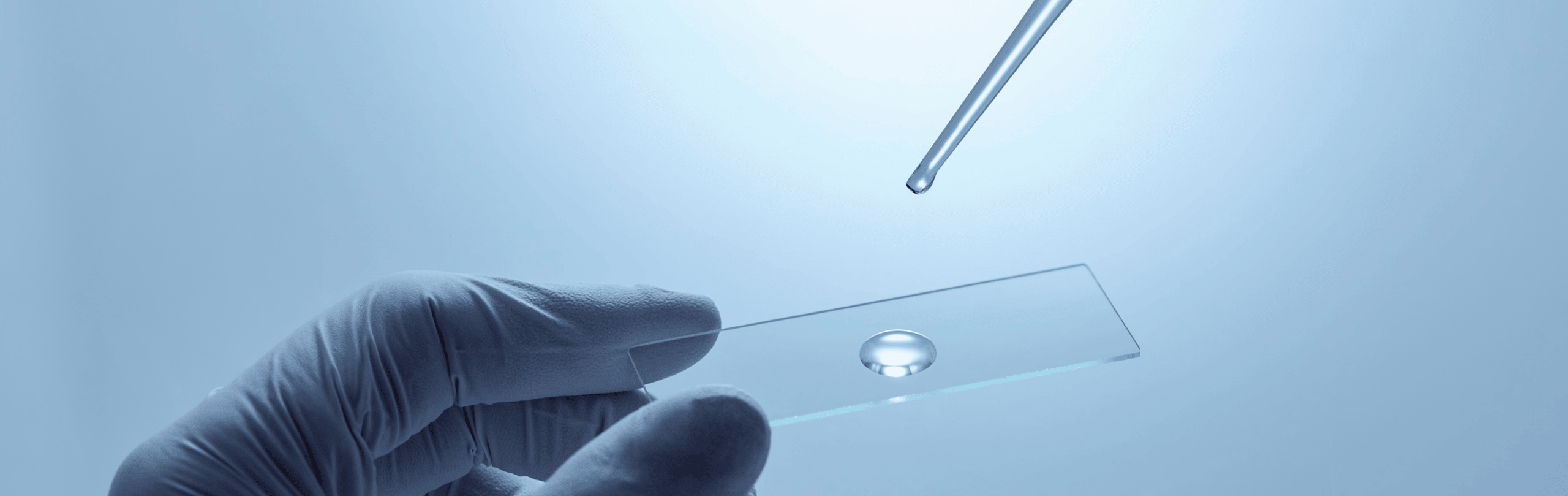 Auftragen einer Flüssigkeitsprobe auf einen Objektträger